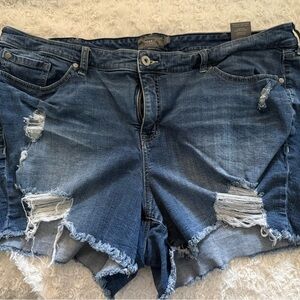 🎆 5 for 30$ 🎆 Torrid Blue Distressed Jean Shorts